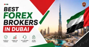 Best Forex Brokers in Dubai